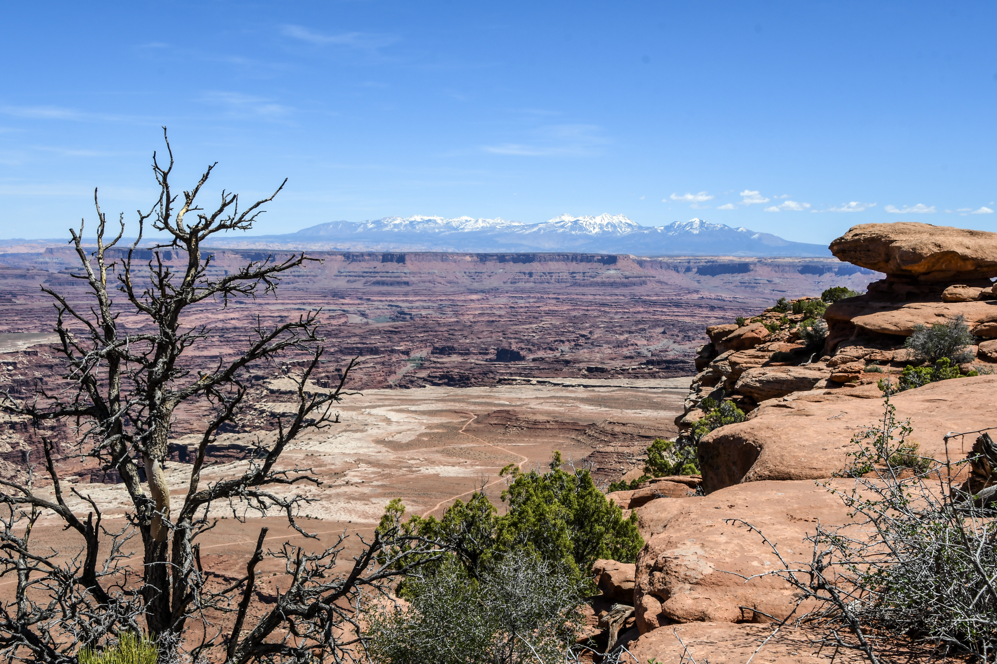 Canyonlands 12